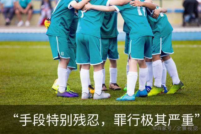 “手段特别残忍，罪行极其严重”，对刘某某限制减刑