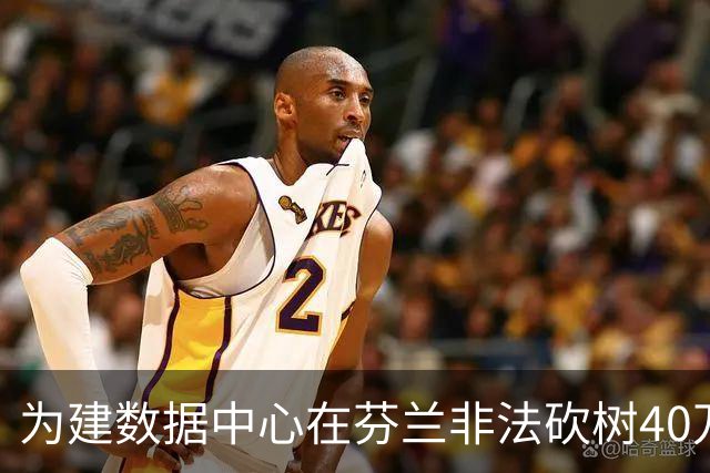 为建数据中心在芬兰非法砍树40万棵，谷歌：停工致歉，将保护水质并在部分土地重新种树