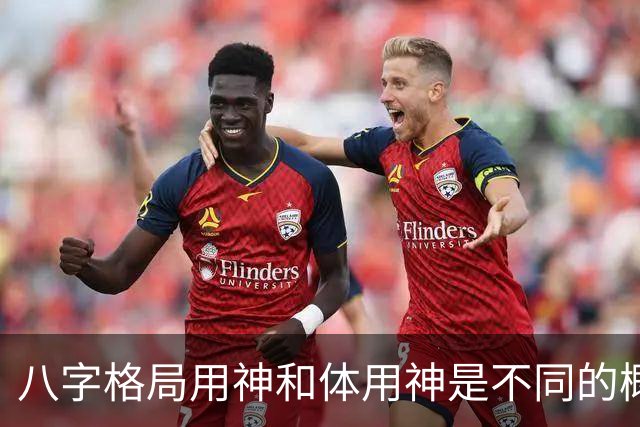 八字格局用神和体用神是不同的概念，格局如果“逆体”是很痛苦的