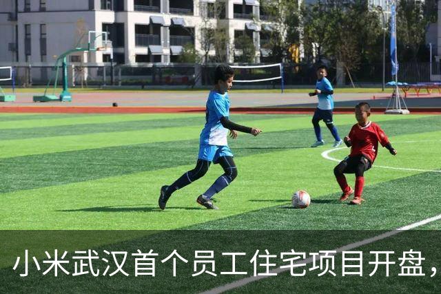 小米武汉首个员工住宅项目开盘，光谷梦享家备案均价13885元/平方米