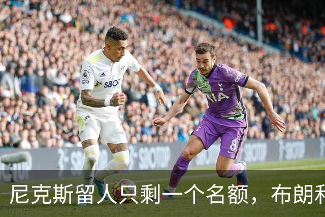 尼克斯留人只剩一个名额，布朗和怀斯曼二选一
