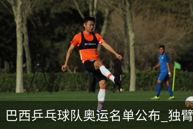 巴西乒乓球队奥运名单公布 独臂女将出战两个奥运
