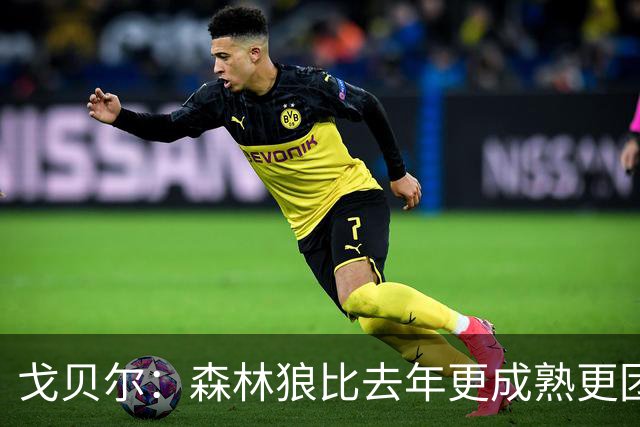 戈贝尔：森林狼比去年更成熟更团结 希望到五六月能应对任何挑战