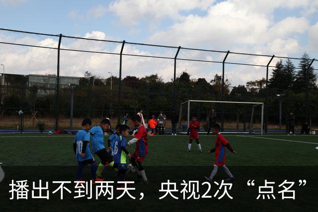 播出不到两天，央视2次“点名”李雪健，原来李幼斌当初没说谎
