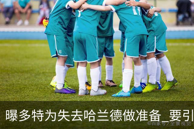 曝多特为失去哈兰德做准备 要引进意甲红人替代
