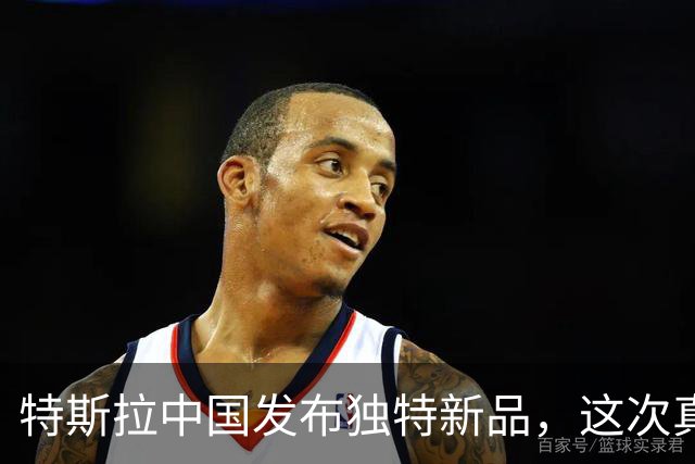 特斯拉中国发布独特新品，这次真买得起了！