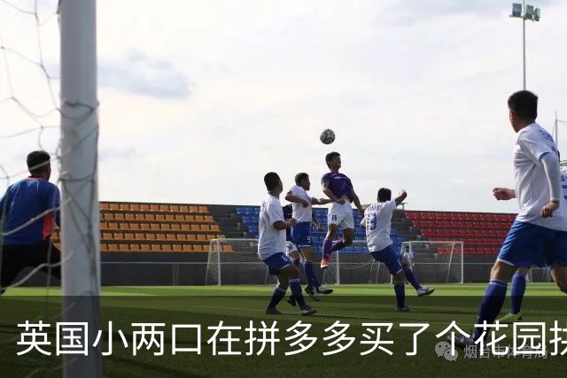 英国小两口在拼多多买了个花园拱门，收到包裹懵逼了！网友：这就是为什么有些人不该获得选举权的原因...
