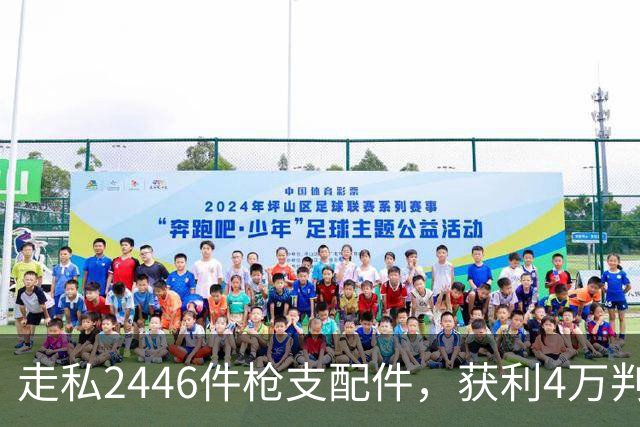 走私2446件枪支配件，获利4万判了10年，国家射击教练田红案披露